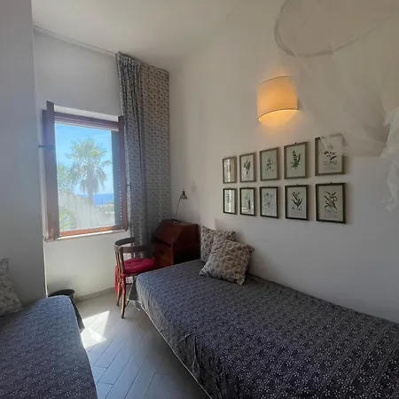 Il Polpetto Apartamento