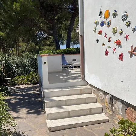 Apartamento Il Polpetto